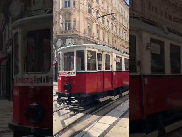 Vienna Tram #wien #vienna #hrtwien #austria #tram #love #viennanow #viennasightseeing#viennatram