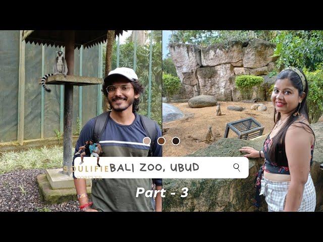 Bali Zoo, Ubud | PART-3 | Meerkat, Lemur, Hornbill, Cockatoo, Macaw, Gibbon, Javan Langur, Iguana