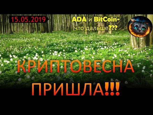 Криптовесна пришла!!! BitCoin и  ADA - обзор.