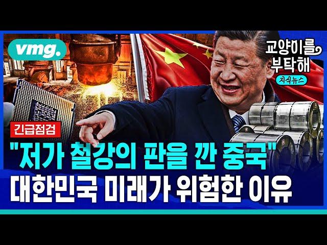 [지식뉴스] "저가 철강의 판을 깐 중국"..대한민국 미래가 위험한 이유 (ft.이상준 서울과기대 에너지정책학과 교수) / 교양이를 부탁해 / 비디오머그