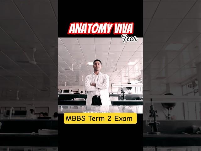 anatomy viva || MBBS viva || night before viva #mbbs #mbbsdiaries #neet2025 #trending #viralshort