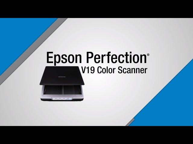 Epson Perfection V19 Scanner | Take the Tour