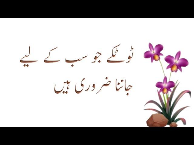 Kam Aane Wali Baten|Urdu Islamic Quotes | Best Urdu Quotes | Sunheri Batain |Motivational Quotes