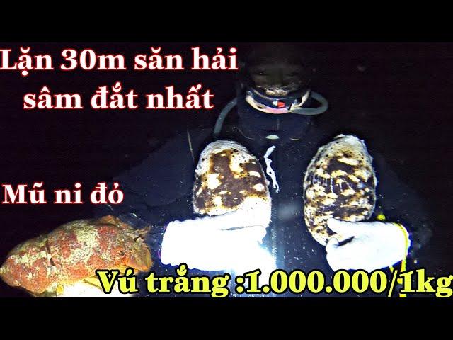 Diving in Hoang Sa Sea to Search for the Most Expensive Sea Cucumbers in Vietnam