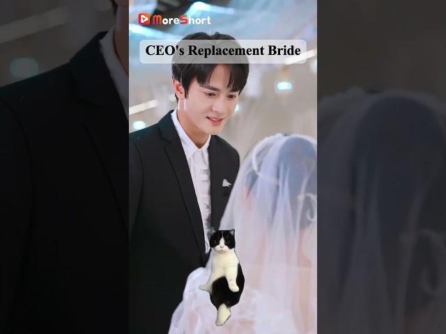 ️‍ Join us on MoreShort now to start this sweet drama "CEO's Replacement Bride". Don't miss it!