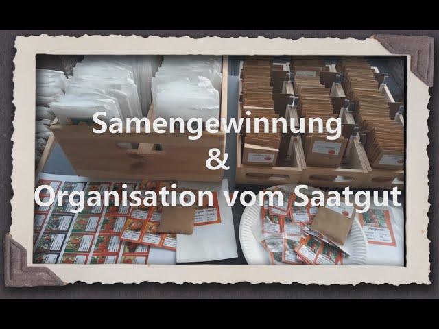 Samengewinnung & Organisation vom Saatgut