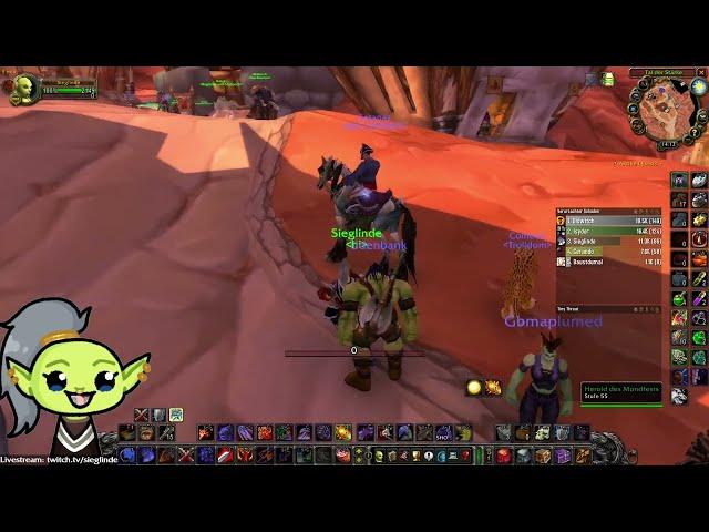 Warum Classic Krieger die absolut krassesten BigBrain high IQ Spieler sind die es in WoW je gab