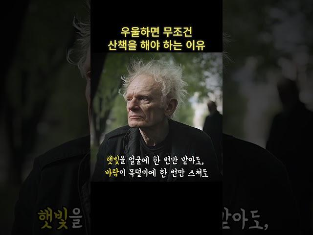 우울하면 무조건 산책을 해야 하는 이유.. #쇼펜하우어 #니체 #석가모니 #맹자 #명언 #인생조언 #철학 #좋은글 #좋은말 #좋은글귀