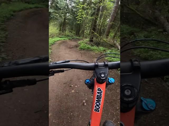 Yoooo this new Washington MTB park is dope! #mtb #pov #pnw #gopro