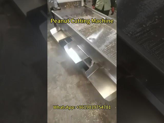  Peanut Cutting Machine in Action! Watch How It Effortlessly Turns Peanuts into Perfect Particles 