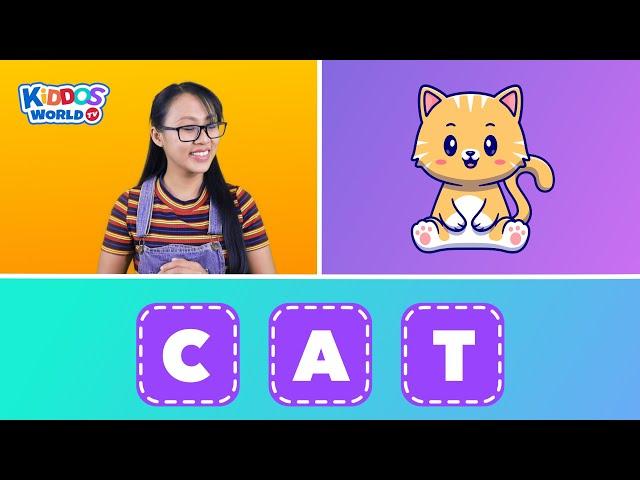 3 Letter Words Spelling | English Spelling | English Vocabulary and Phonics Sounds