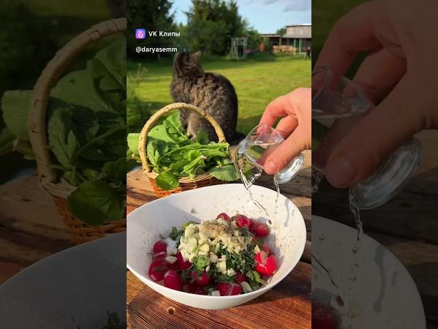 ВКУСНЫЙ ЛЕТНИЙ САЛАТ ИЗ РЕДИСКИ