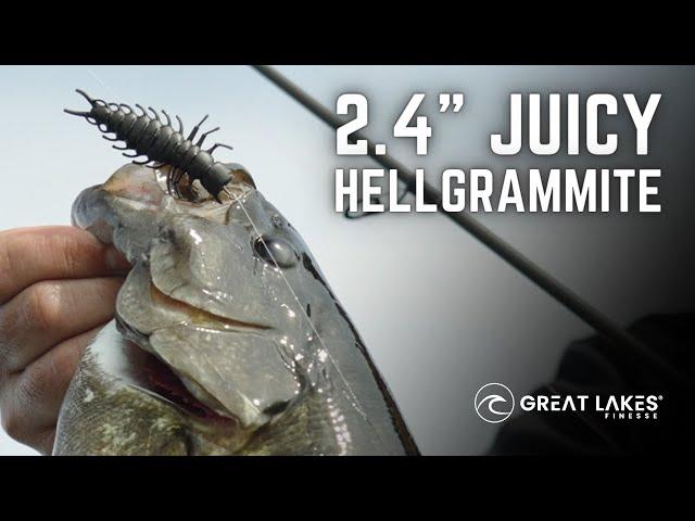 2.4" JUICY HELLGRAMMITE by Great Lakes Finesse - New for 2024