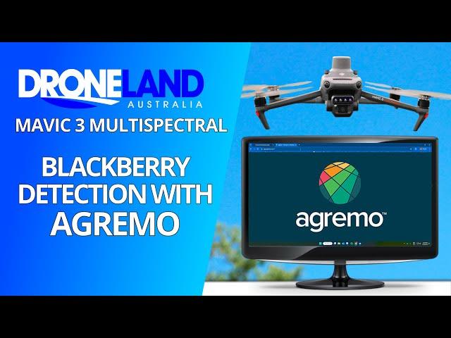 Blackberry Detection with Agremo