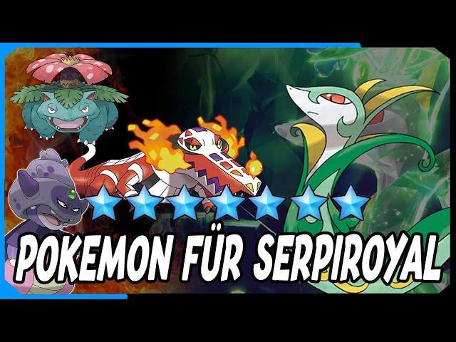 6 Pokemon für den Titan Serpiroyal | Angreifer + Supporter - Vorbereitung