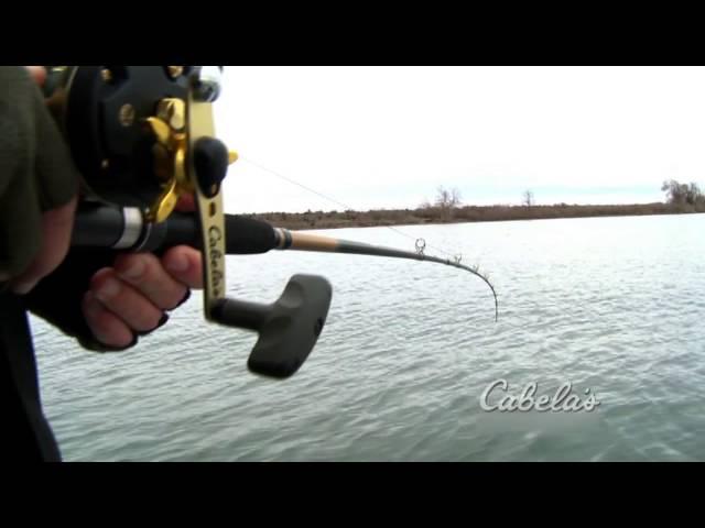 Cabela's DepthMaster Trolling Rods