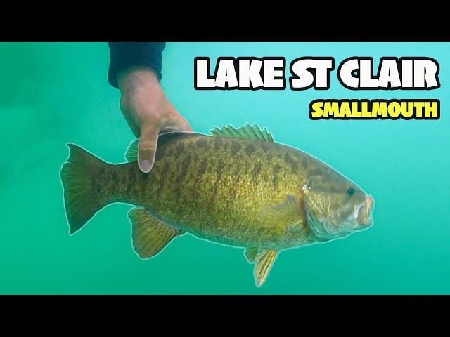 Lake St Clair Smallmouth Bass Fishing in the SPRING 2024!