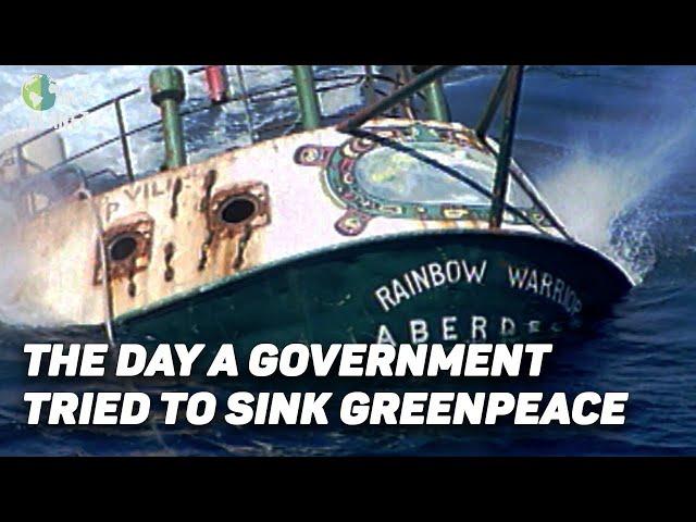 The tragedy that turned Greenpeace into a big organization