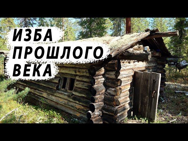 Заброшенная Избушка в Тайге / Вот Как Раньше Строили Избушки