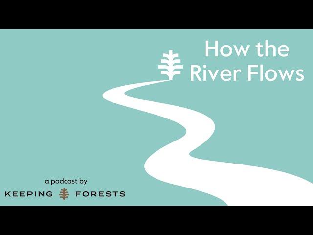 2 Keeping Forests   Audacious Goals Require Different Thinking