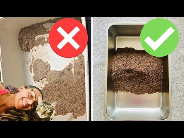 Cat litter box hacks that will save your life