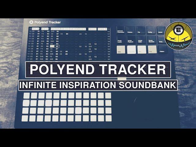 Polyend Tracker - Infinite Inspiration Sound Bank (4,808 Samples!)