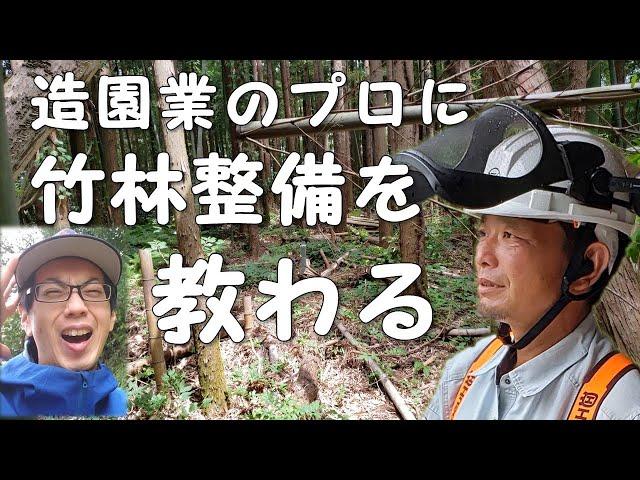 ノコギリの扱いも出来ない素人が造園業２５年のプロに放置竹林の整備の基礎を教えてもらいました