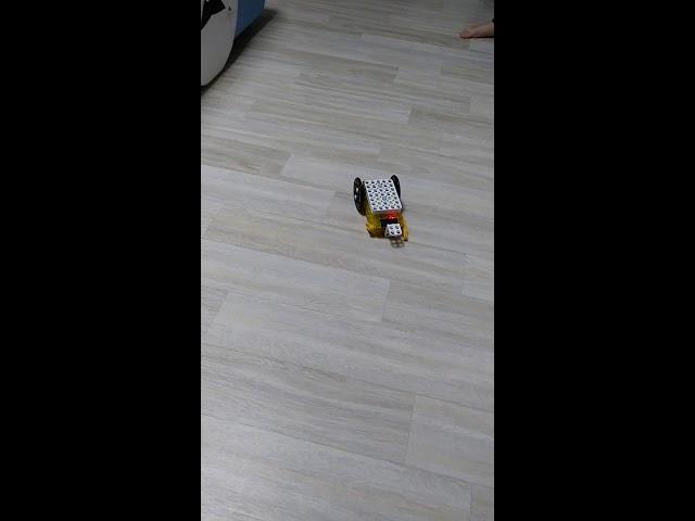 하늘을 나는 거북이