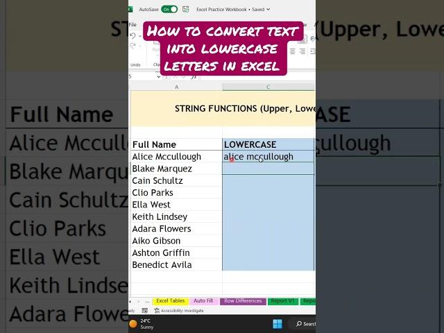 How to convert text into Lowercase letters in Excel