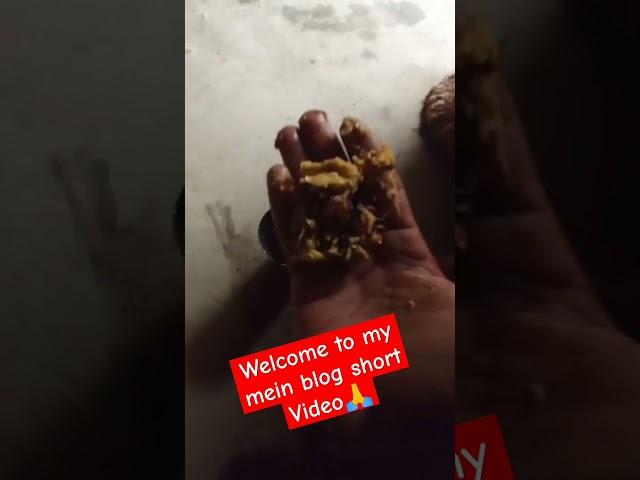 #व्लॉग #vlogging #vlog #fashionvlog #dailyvlog #foodvlog #travelvlog #beautyvlog #foodie #gamingvlog