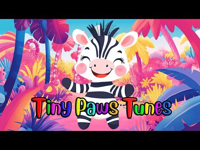 Tiny Paws Tunes - Zebra Stripes