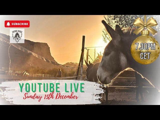 Sunday Live Q&A 15th December 2024