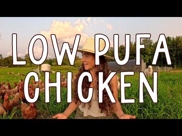 Low PUFA Chicken: The Secret to Healthier Eggs and Meat  Corn & Soy Free!