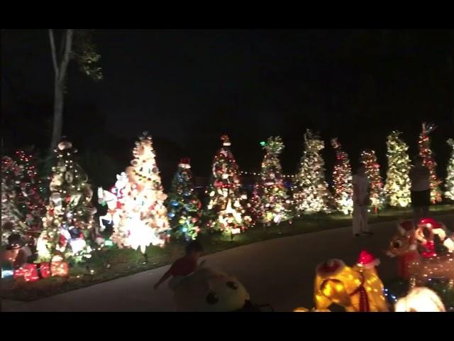 Houston pecan grove Christmas lights