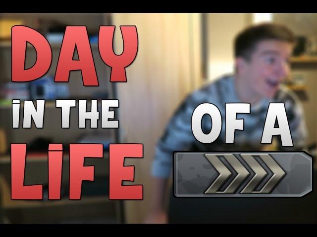 Day In The Life of a Silver!