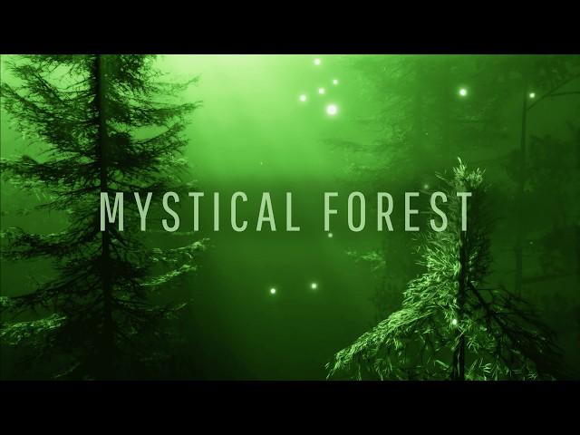 Enchanting Forest Music   for Relaxation and Meditation  Path to The Elven Lands