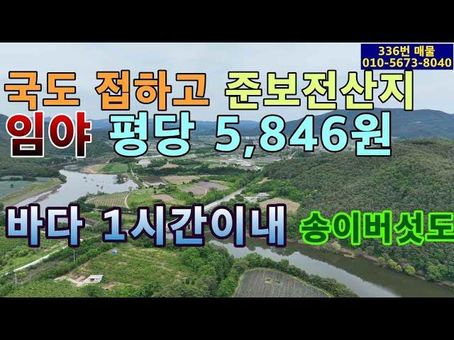 (336번 매물)임야 평당 5,846원.전체가 준보전산지.34번 국도 접.완경사지가 1만여평 있음.아름드리 자연솔숲 있음.동해바다가 40분.송이버섯도 자생.오토캠핑장 가능.자연힐링