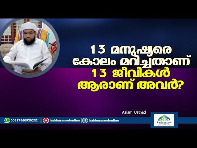 13 മനുഷ്യരെ കോലം മറിച്ചതാണ് 13 ജീവികൾ ആരാണ് അവർ? | Aslami Usthad | Hubburasool Online