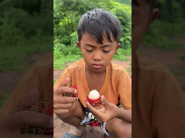Survival Skills: SMART idea and USEFUL in Forest  #bushcraft #camping  #outdoors