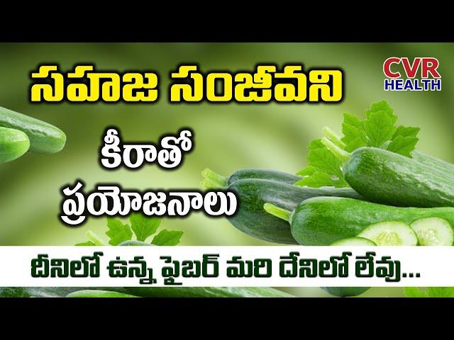 Health Benefits Of Cucumber | Immunity Power | Skin Benefits | CVR Health