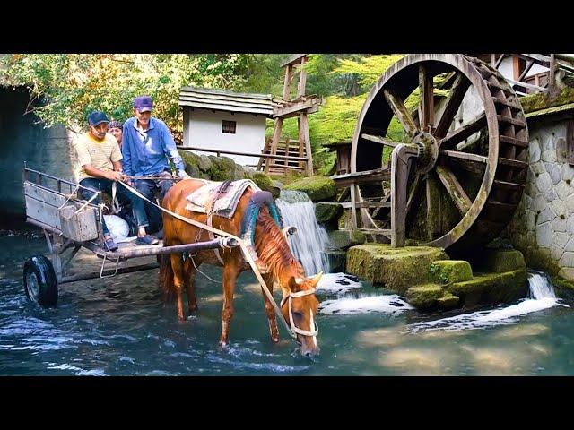 AZERBAIJAN Rural Life - Grandma and Grandpa's Most Liked Videos