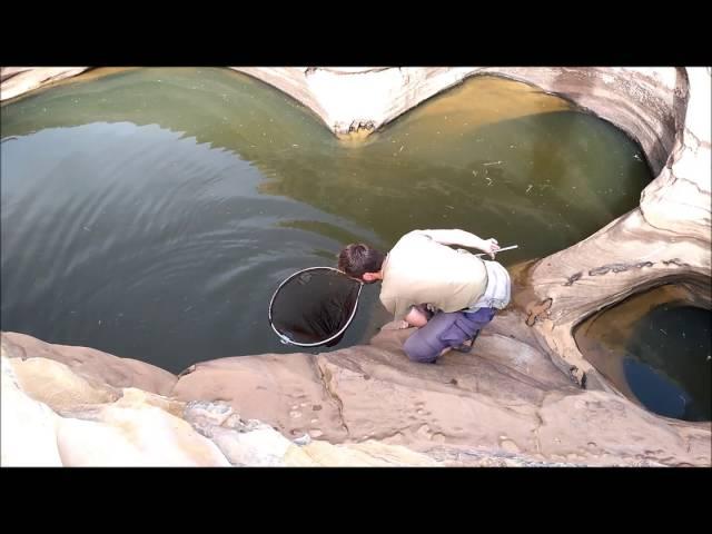 Sampling in El-Khom Sânîyé potholes, Assaba, Mauritania