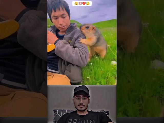 Sunwin | Link tải sunwin Respect animals ️#Ep_21