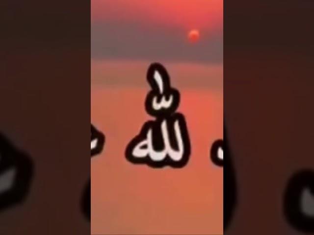 ٢١ ديسمبر، ٢٠٢٤