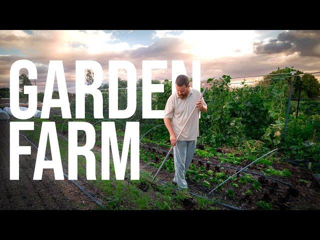 Bio-intensive Market Gardening on 15,000 sqft Organic Farmstead | PARAGRAPHIC