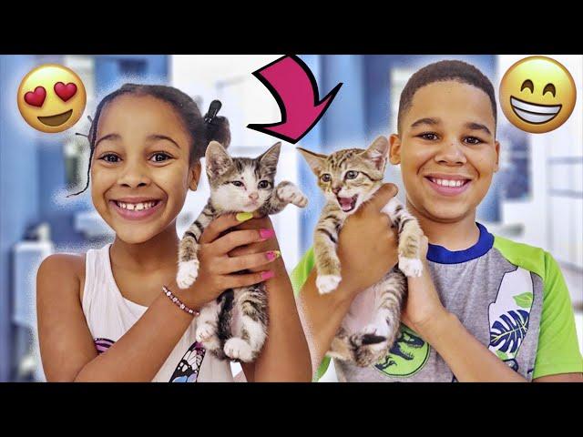 Cali & Kameiro MEET THE KITTENS for the FIRST TIME ️ | FamousTubeFamily