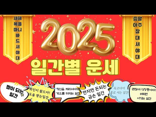 2025년 을사년 일간별 운세