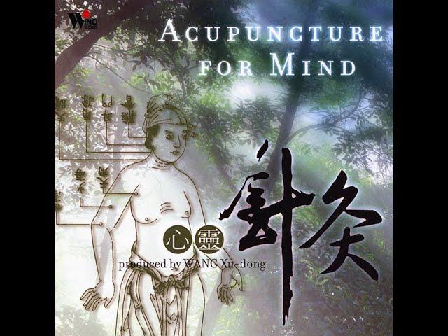 Acupuncture For Mind - Wang Xu-dong