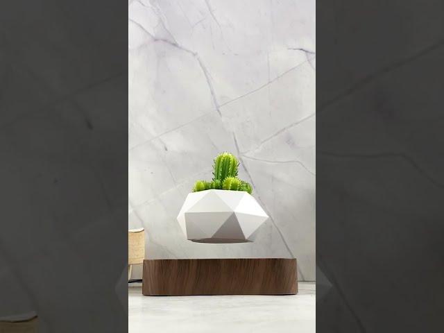 Magnetic Levitating Bonsai Geometric Pot With Wood Grain Base