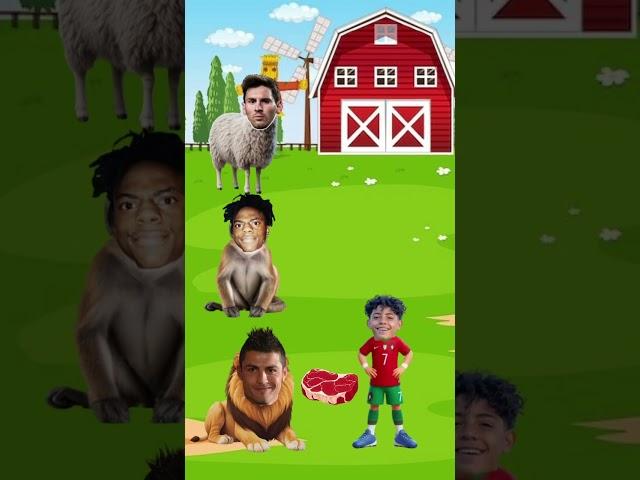 What should we feed this sheep?